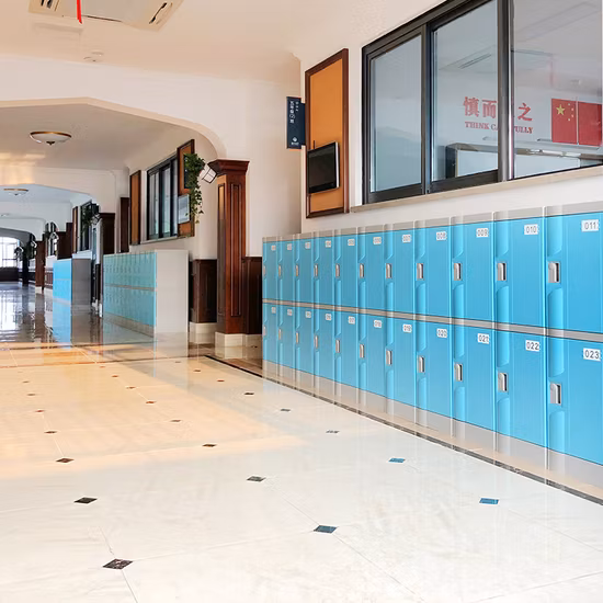China Factory ABS-Aufbewahrungsschränke aus Kunststoff