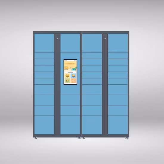 Sicheres, intelligentes, elektronisches Paketschließfach mit mehreren Türen