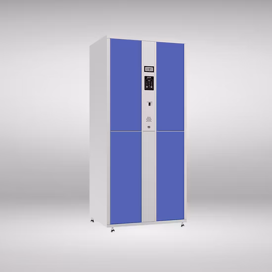 Smile Factory Direct Kleiner Handy-Aufbewahrungsschrank mit mehreren Fächern für öffentliche Plätze oder Schwimmbäder